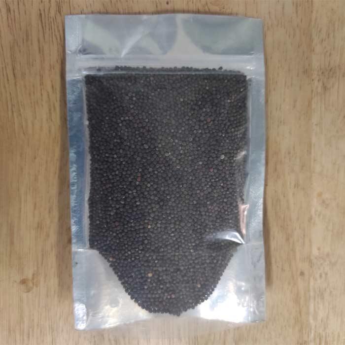 Green Cabbage Microgreens Seeds